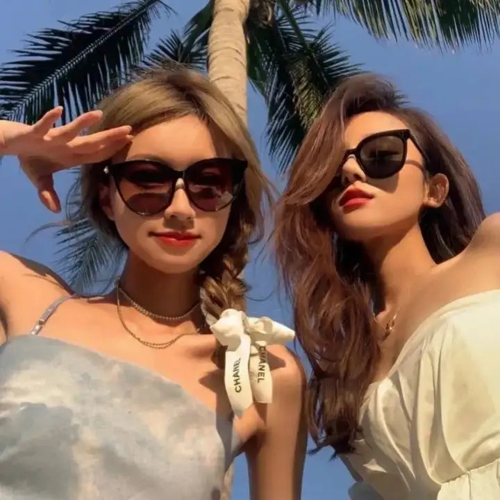 萌犬好声音2